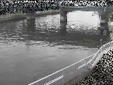 堀割川付近のカメラ画像
