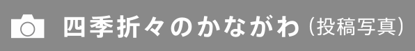 四季折々のかながわ（投稿写真）