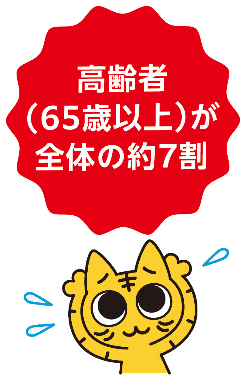 高齢者（65歳以上）が全体の約7割