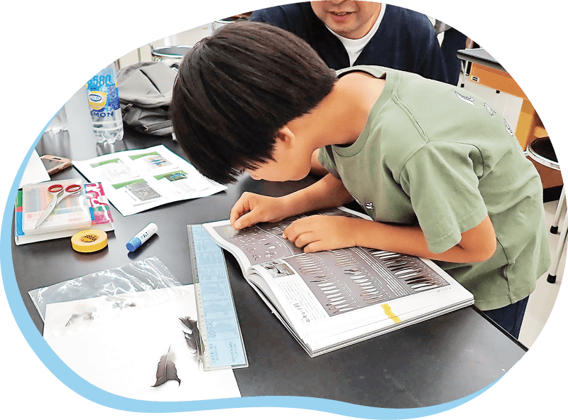 体験活動に参加する男の子