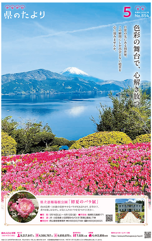 色彩の舞台で、心解き放つ