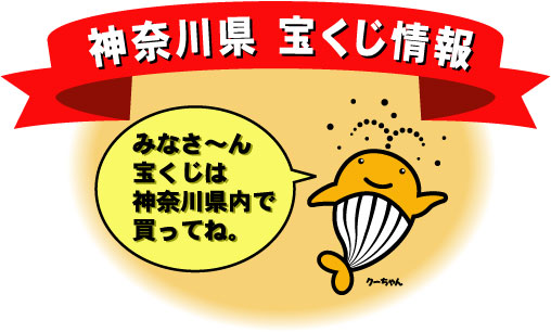 ようこそ神奈川県の宝くじ情報へ 宝くじは神奈川県で! みなさ~ん宝くじは神奈川県内で買ってください。なぜ県内で買って欲しいのか。それは、神奈川県内で売れた宝くじの収益金は、神奈川県の収入になるからです。そうしたお金が道路や橋、学校、公園の整備など県内の公共事業に使われています。みんなの豊かな生活のためにたいへん役立っているのです。