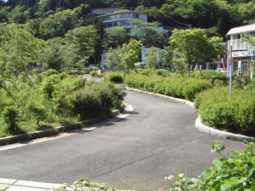 元箱根園地の園路の写真