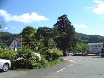 箱根町園地の風景の写真