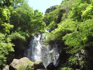 写真：飛竜の滝の風景