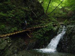 写真：変化に富んだ沢沿いのコースです