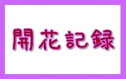 開花記録