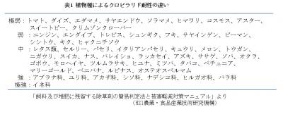 表