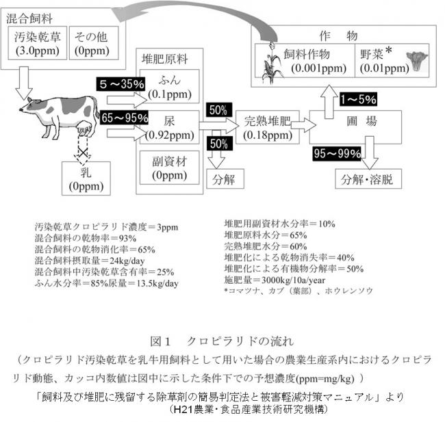 図1クロピラリトの流れ