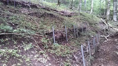 堂平の土壌保全工