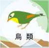 鳥類