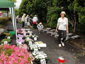 花植え作業前写真