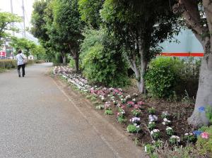花植え作業後写真