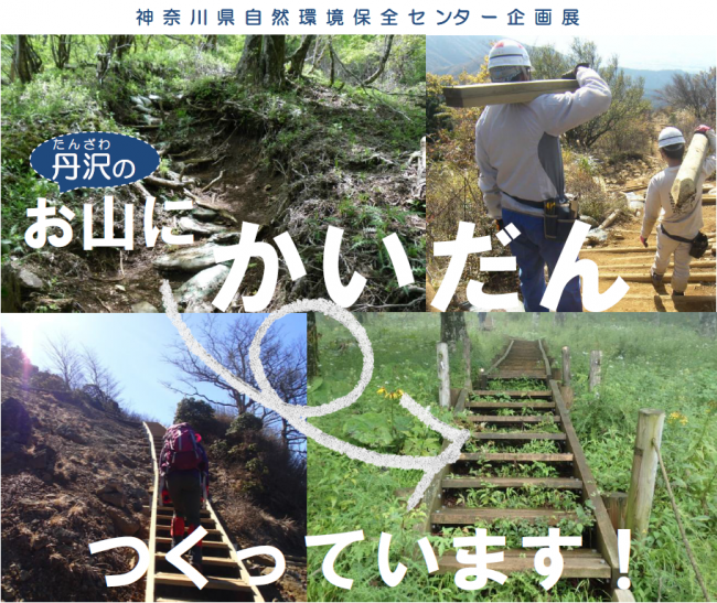 企画展「丹沢のお山にかいだんつくっています！」