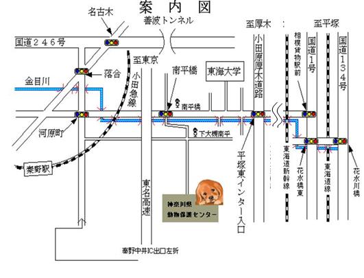 案内地図