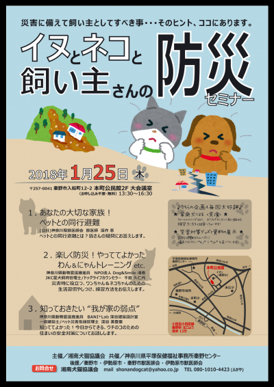 チラシ