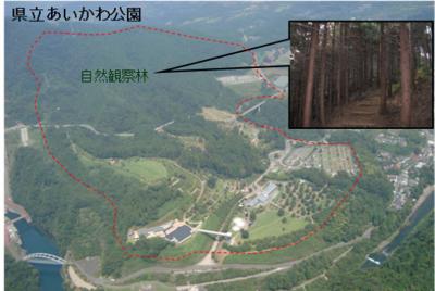 自然観察林
