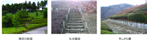 丸太階段に活用