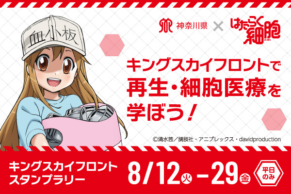 神奈川県と「はたらく細胞」のコラボレーション。キングスカイフロントで再生・細胞医療を学ぼう！キングフロントスタンプラリー 8月12日（火曜）から8月29日（金曜）まで（平日のみ）
