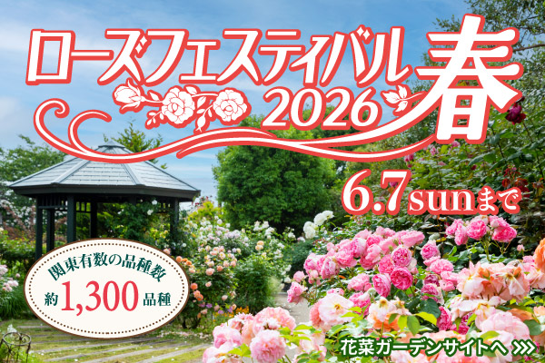 ローズフェスティバル2026春。関東有数の品種数、約1300品種。6月7日（日曜）まで。花菜ガーデンサイトへリンクします。