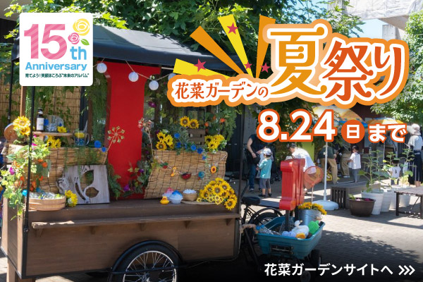 花菜ガーデンの夏祭り。8月24日（日曜）まで。15thAnniversary。花菜ガーデンサイトへリンクします。