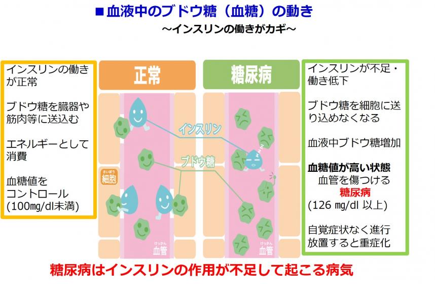 糖尿病対策 神奈川県ホームページ