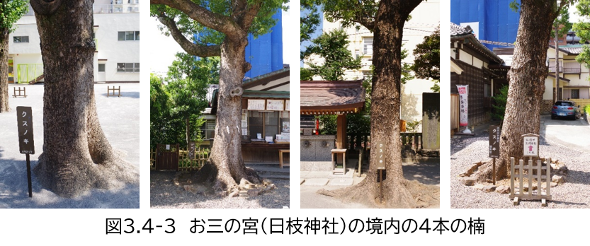 お三の宮（図３）