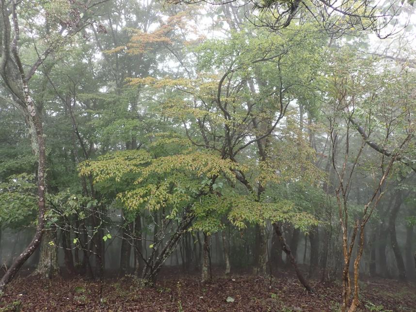 9月9日仏果山