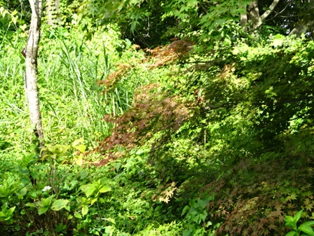 9月11日権現山(秦野市)山頂