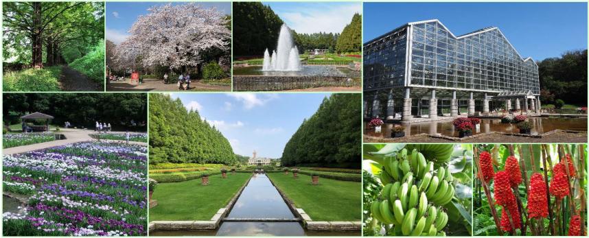 相模原公園の紹介写真