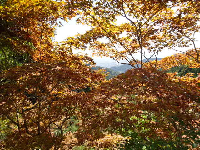 10月7日大山寺