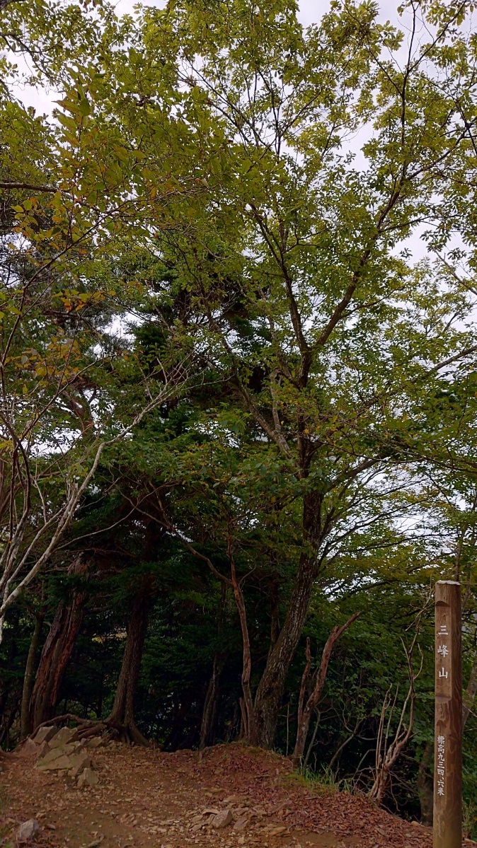 10月8日大山三峰山山頂