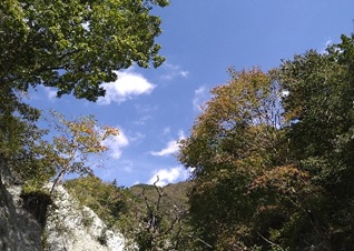 10月14日鍋割山山頂周辺