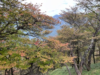 10月14日塔ノ岳から丹沢山の間