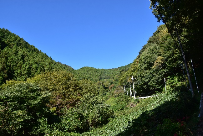 10月6日鎌沢駐車場