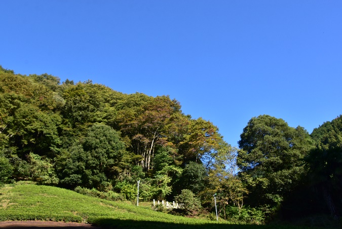 10月16日陣馬山和田バス停