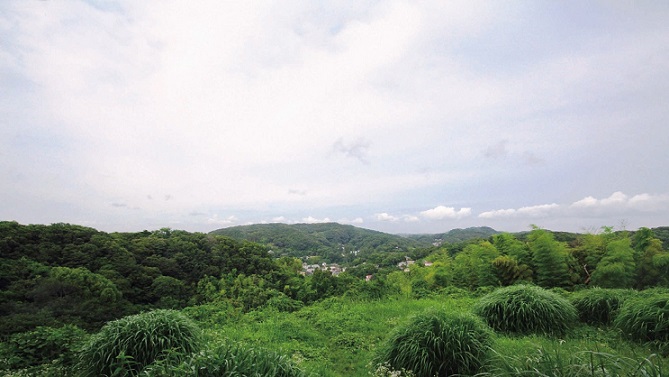 台峯緑地