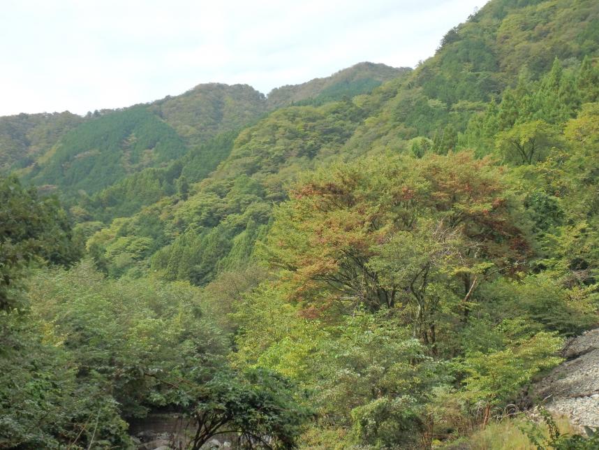 10月11日神ノ川園地