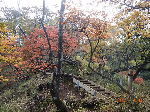 231018檜洞丸つつじ新道標高約1400メートル