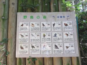 野鳥の森で見られる鳥の掲示板
