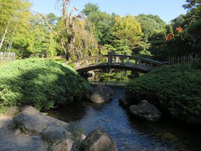 日本庭園の橋