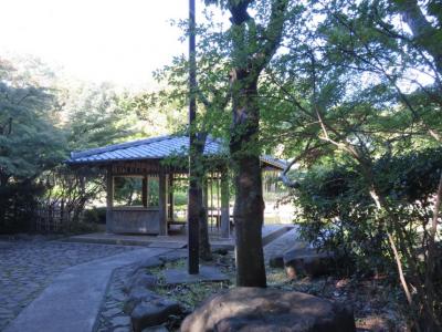 日本庭園の休憩場所