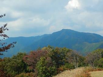 10月28日陣馬山山頂紅葉