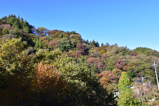 11月14日陣馬登山口