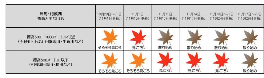 11月29日更新陣馬紅葉表