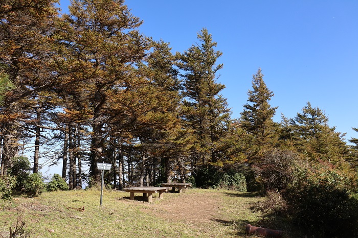 10月26日袖平山山頂紅葉