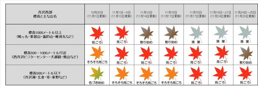 11月29日更新丹沢西部紅葉表