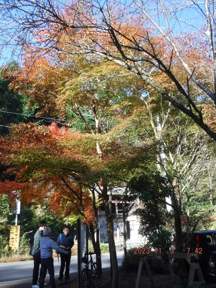 231103大山ヤビツ峠