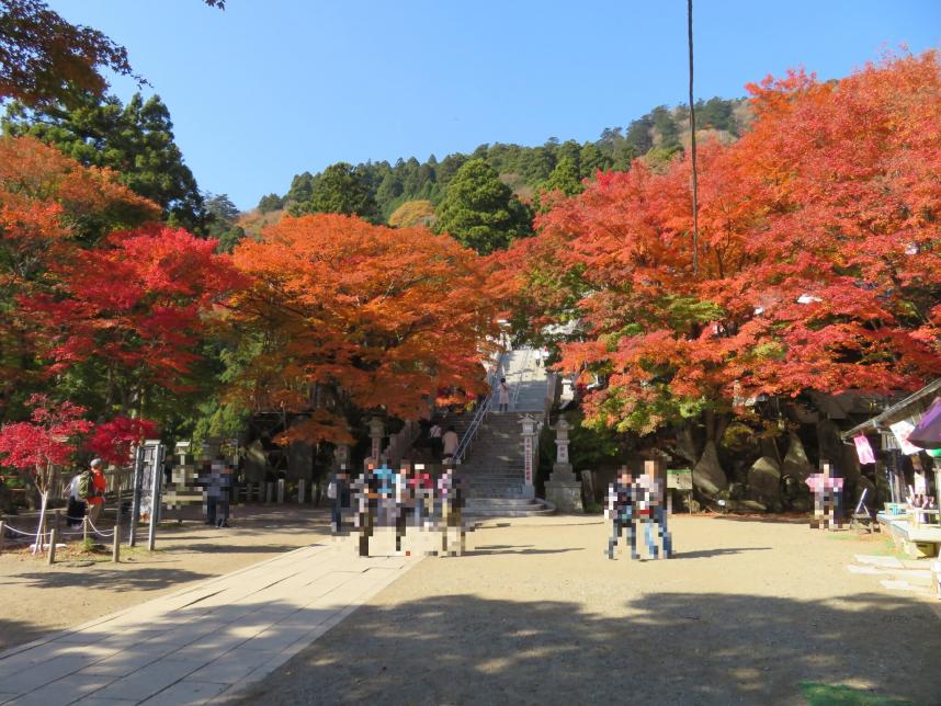 11月24日阿夫利神社下社