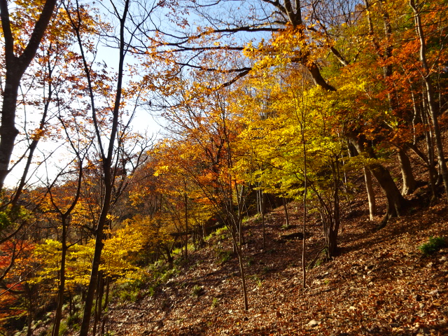 11月24日辺室山土山峠登山口